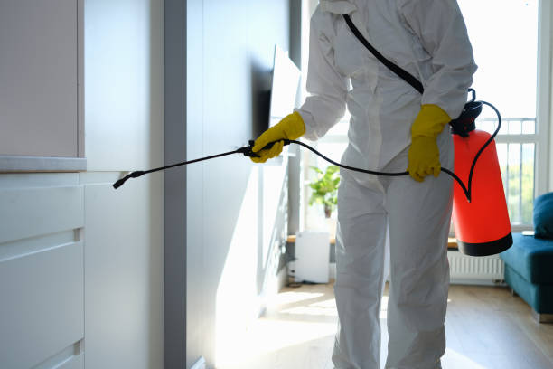Best Crawl Space Mold Removal  in Hilbert, WI