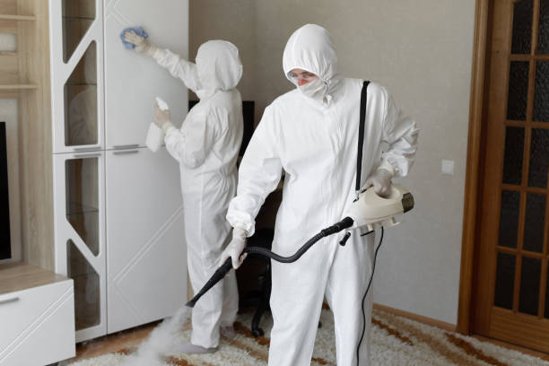 Best Toxic Mold Removal  in Hilbert, WI